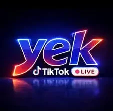 YEK Agency TikTok Ajansı: Ajansla Büyümenin Gerçek Rehberi