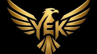 YEK Agency TikTok Ajansı: TikTok Ajansı Nedir?